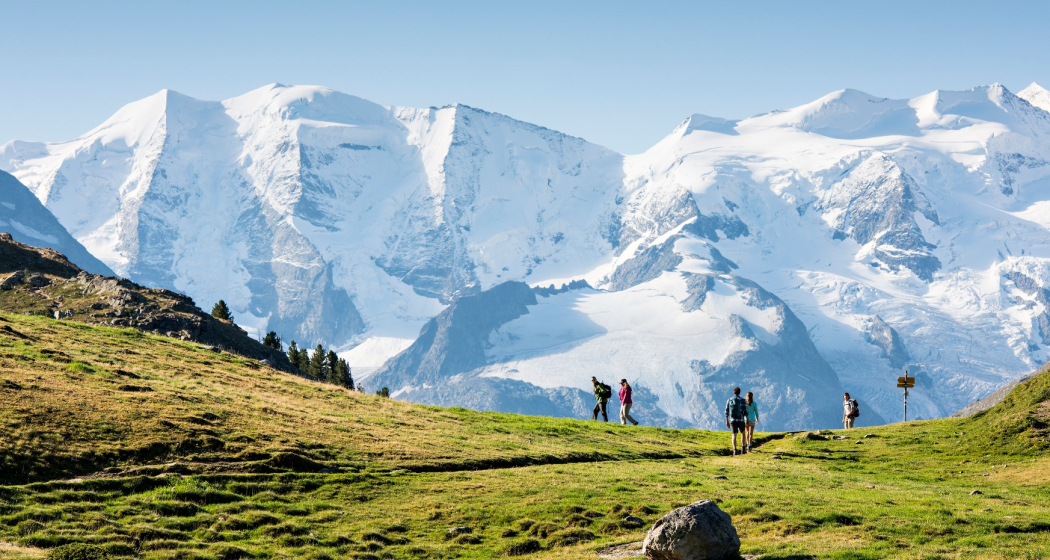 Blick von der Alp Languard zur Bernina Gruppe Blick von der Alp Languard zur Bernina Gruppe