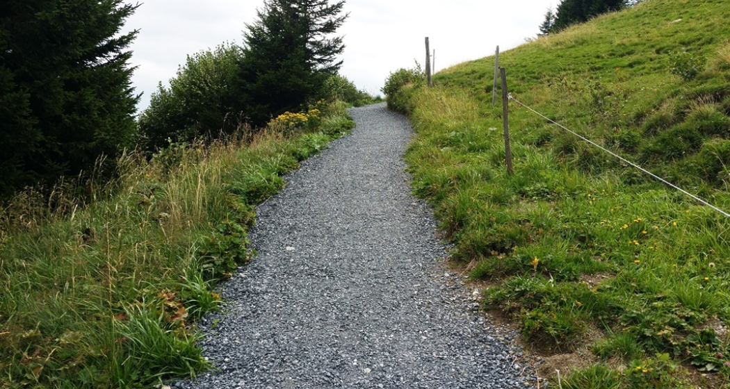 Bergweg auf dem Trail Bergweg auf dem Trail