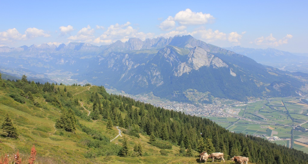 Alpenidylle abseits des Trails Alpenidylle abseits des Trails