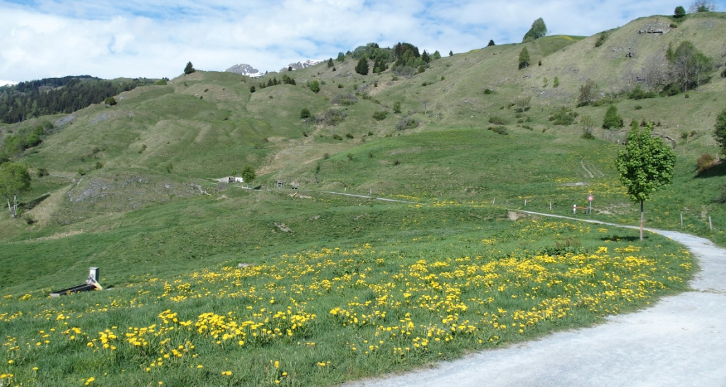 Wanderweg Vella Bual Wanderweg Vella Bual