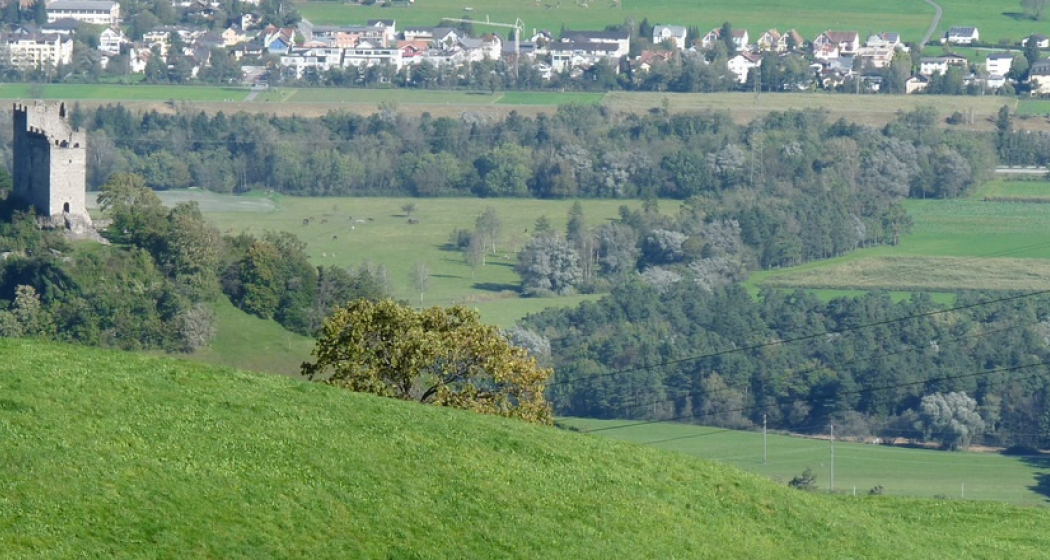 Blick auf die Burgruine Wartau Blick auf die Burgruine Wartau