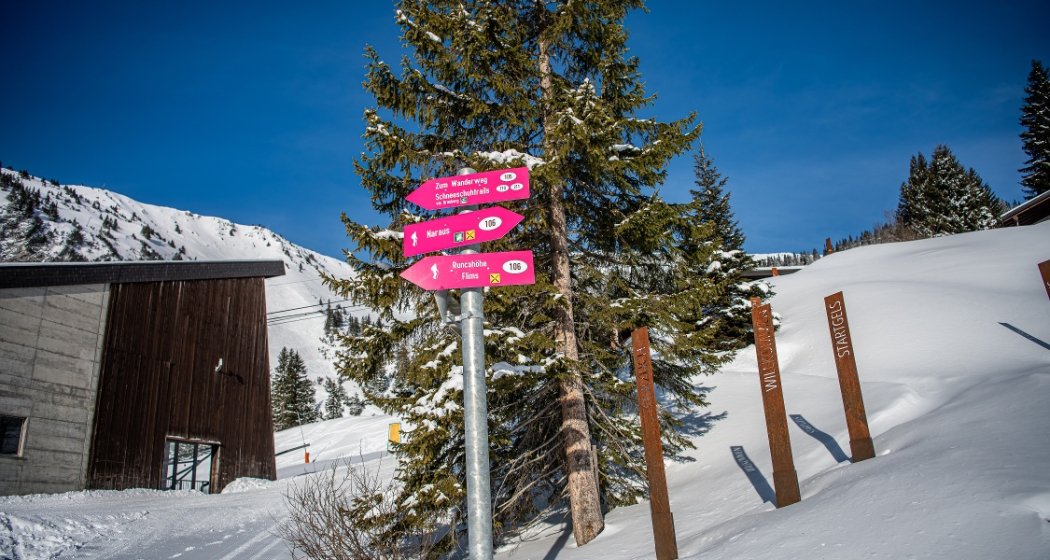 Startgels - Runcahöhe - Flims (oua_47957388_image) Startgels - Runcahöhe - Flims (oua_47957388_image)