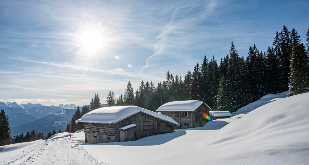 Startgels - Runcahöhe - Flims (oua_47957498_image) Startgels - Runcahöhe - Flims (oua_47957498_image)
