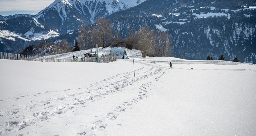 Schneeschuhtour Nr. 201 Curnius - Falera (oua_47960010_image) Schneeschuhtour Nr. 201 Curnius - Falera (oua_47960010_image)