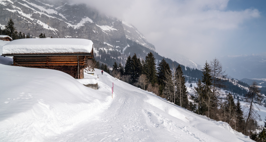 Foppa-Flims (oua_48015202_image) Foppa-Flims (oua_48015202_image)