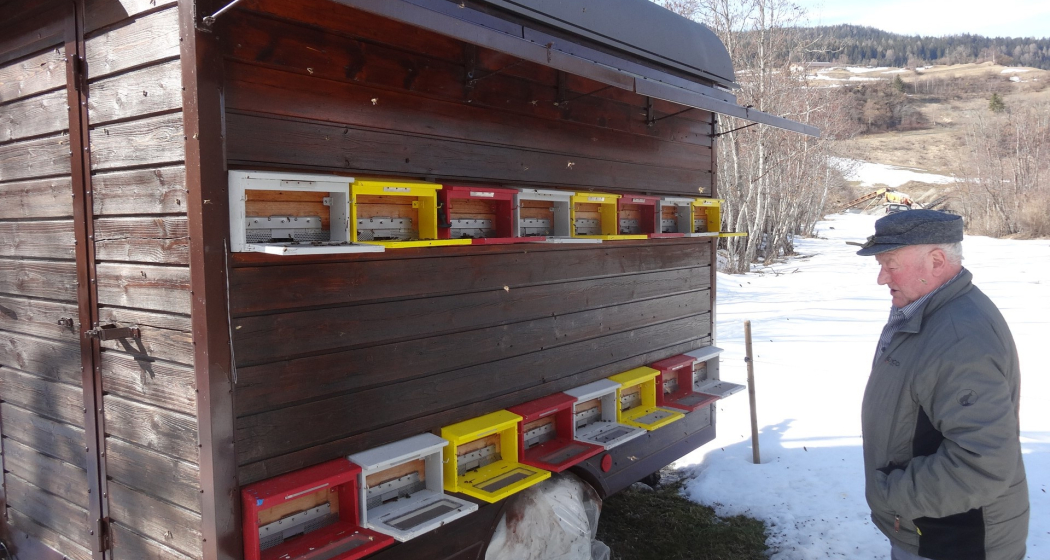 Imker Meltger Devonas / Honig