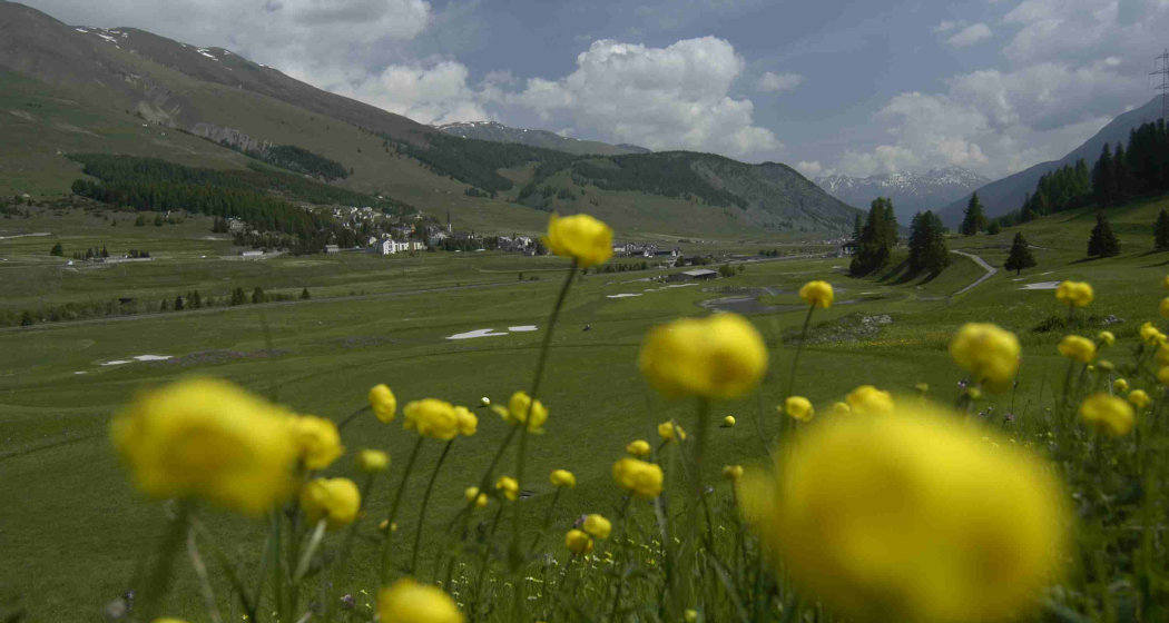 Sicht auf Zuoz Sicht auf Zuoz