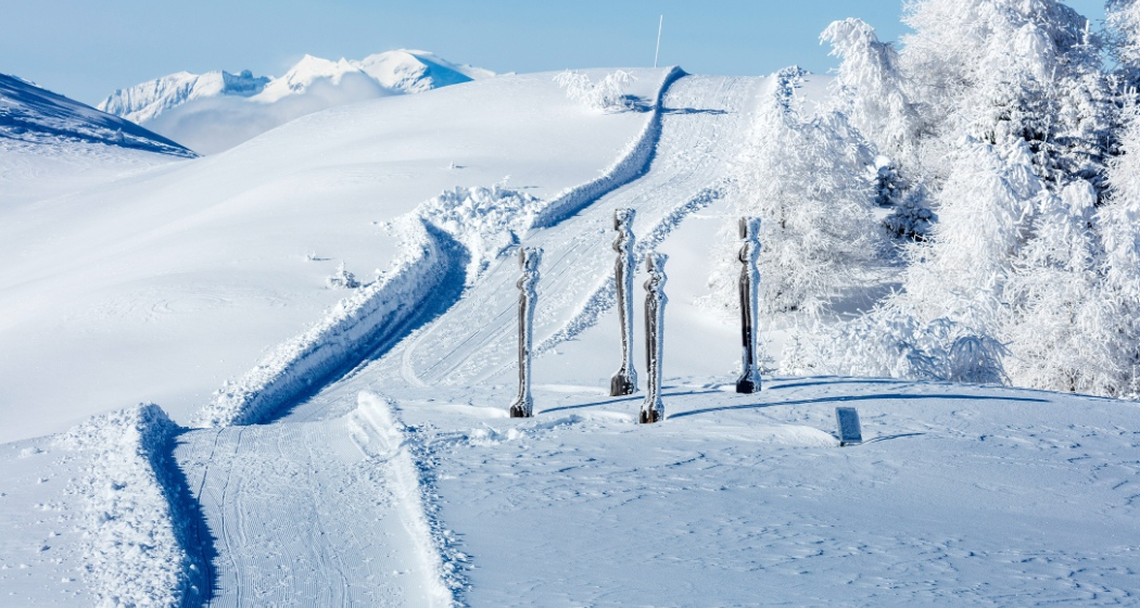 Die Dreizehn im Winter Die Dreizehn im Winter
