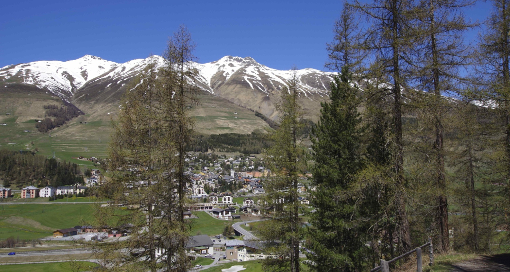 Blick auf Zuoz Blick auf Zuoz