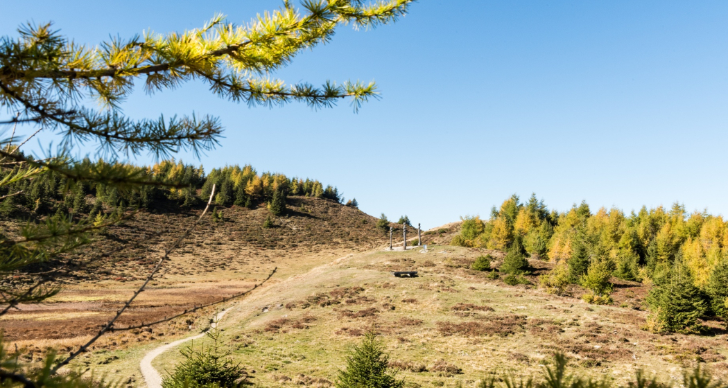 Panorama-Rundwanderweg Mutta Panorama-Rundwanderweg Mutta