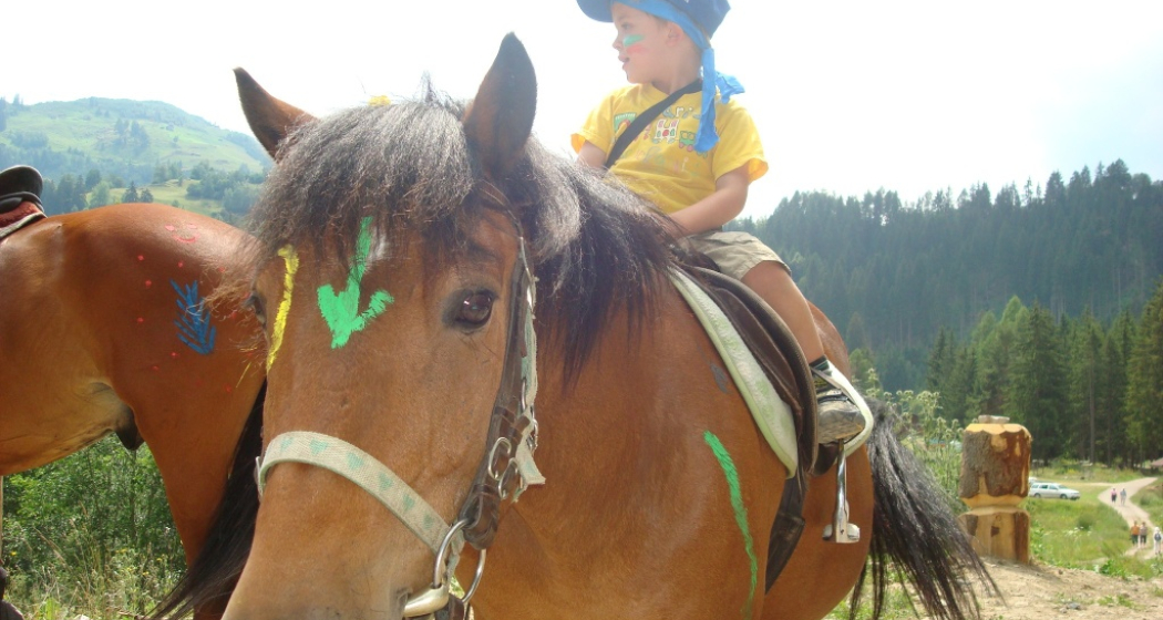 Hoch zu Ross Hoch zu Ross