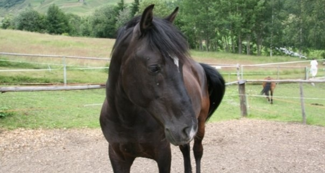 Ich warte auf Dich Ich warte auf Dich