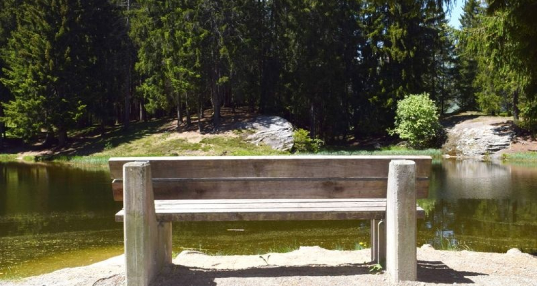 Feuerstelle Dachlisee, Obersaxen Feuerstelle Dachlisee, Obersaxen