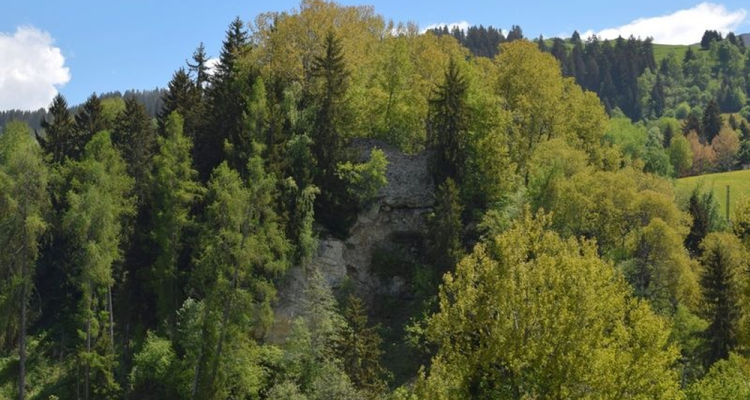 Burgruine Moregg, Obersaxen