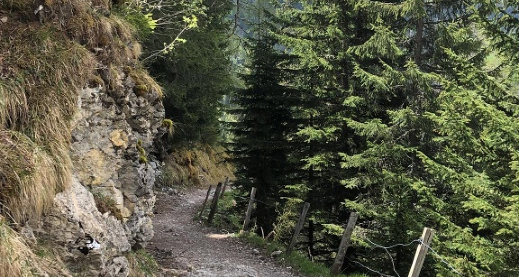 Ochsenalp-Tschiertschen Ochsenalp-Tschiertschen