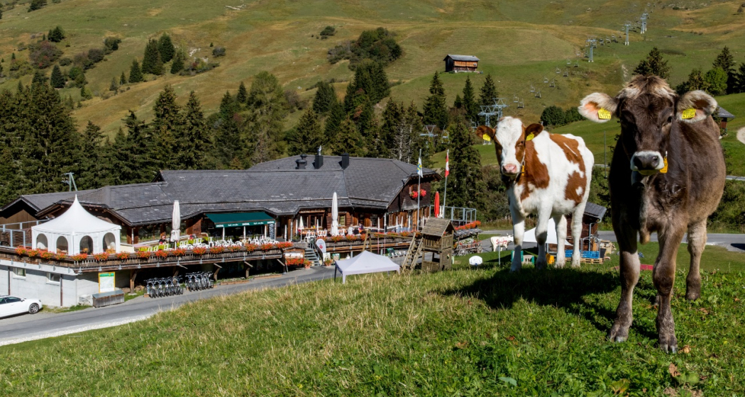 Das alte Restaurant Wali Das alte Restaurant Wali