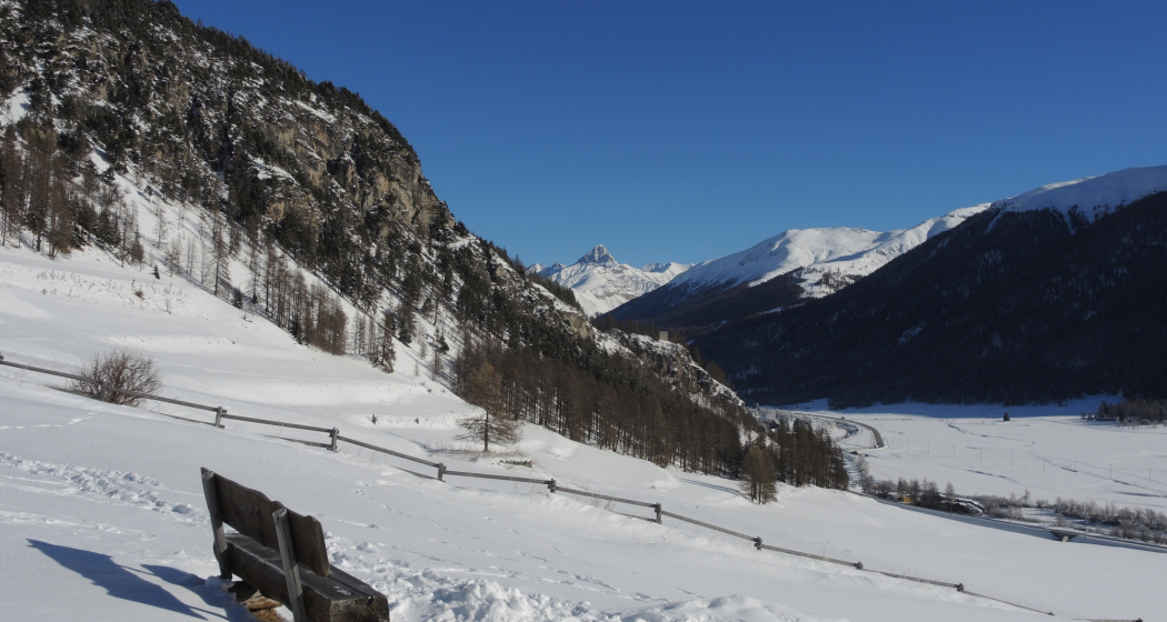 Sitzbank Bannchs (oua_50275309_image) Sitzbank Bannchs (oua_50275309_image)