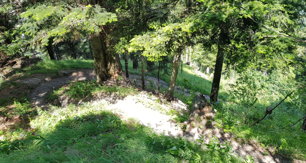 Trail-Einstieg Juchs Trail-Einstieg Juchs