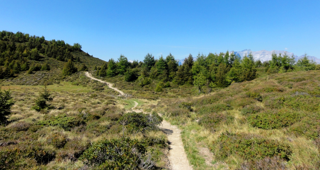 Dreibündenstein Trail Dreibündenstein Trail