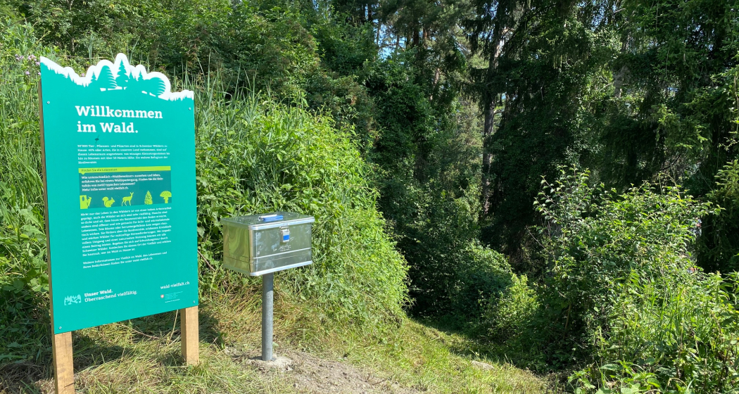 Start Wald-Vielfalt Parcours Cazis Start Wald-Vielfalt Parcours Cazis