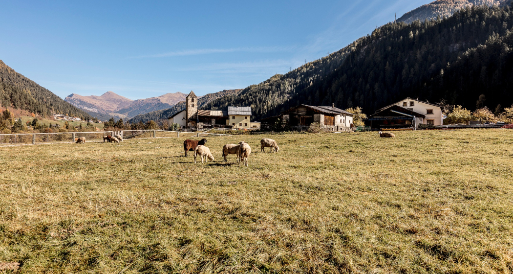 San Niclà (oua_51064497_image)