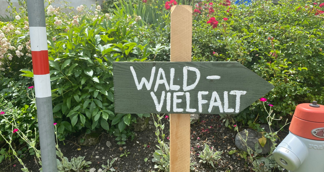 Wald-Vielfalt Parcours Cazis Wald-Vielfalt Parcours Cazis