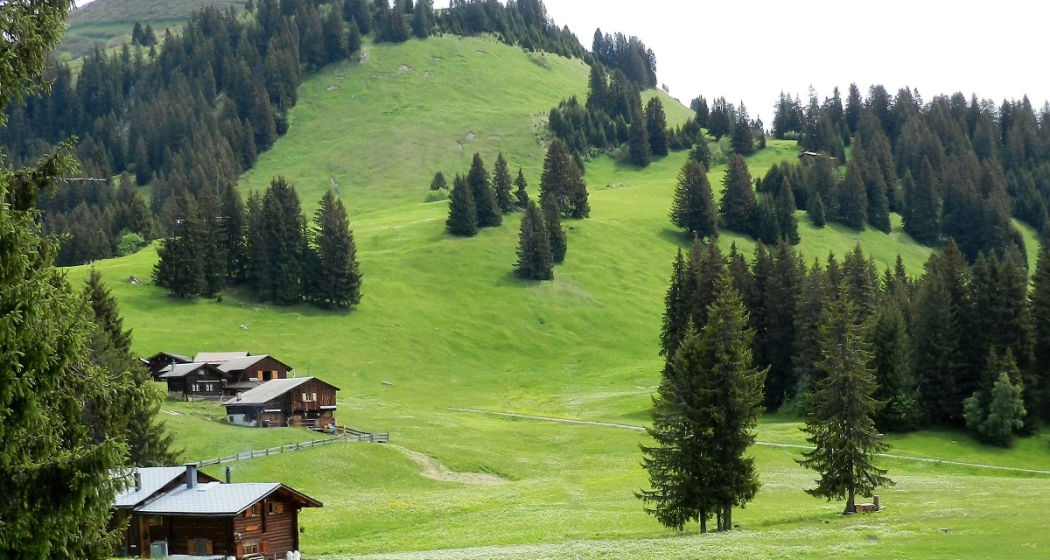 Trotti-Station Tratza (oua_51534072_image) Trotti-Station Tratza (oua_51534072_image)