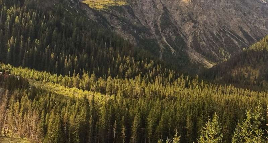 Ausblick zum Stausee Ausblick zum Stausee