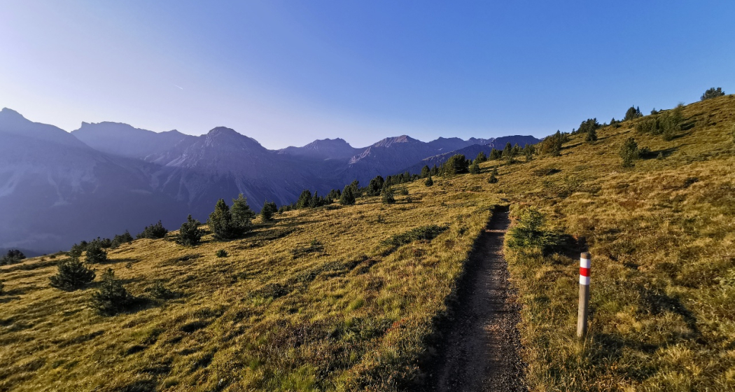 Vom Maraner Hauptji runter zur LAW-Mittelstation, kurz vor dem Föhrenwald Vom Maraner Hauptji runter zur LAW-Mittelstation, kurz vor dem Föhrenwald