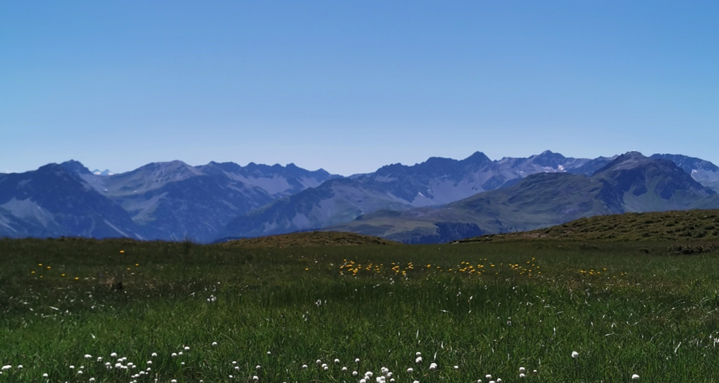 Aussicht nach Arosa Aussicht nach Arosa