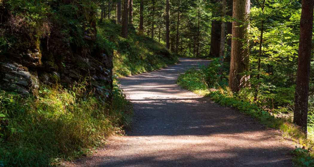 Flimser Wald Flimser Wald
