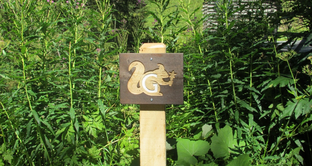 GWunderwald Davos GWunderwald Davos