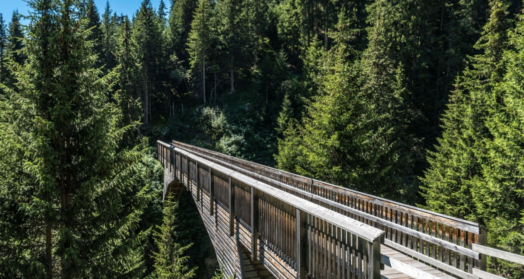 Holzbrücke Val Mulin, Lumbrein Holzbrücke Val Mulin, Lumbrein