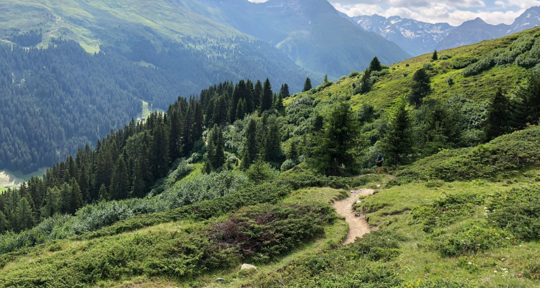 Abkürzung Sertig Dörfli - Rinerhorn Trail (oua_52643463_image) Abkürzung Sertig Dörfli - Rinerhorn Trail (oua_52643463_image)