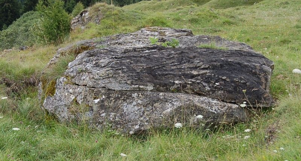 Crap dallas treis siarps