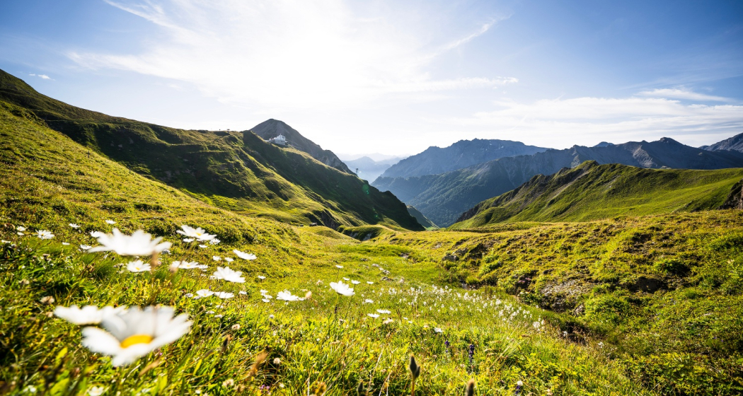 Blick in Richtung Alp Trider Sattel. Blick in Richtung Alp Trider Sattel.