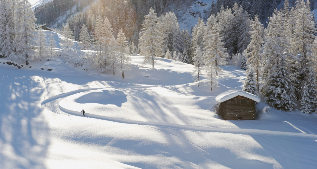 Dischma Uphill (oua_52882759_image) Dischma Uphill (oua_52882759_image)