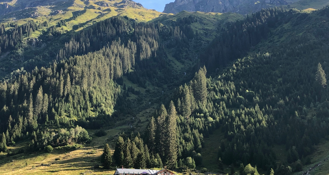 Alp Garfiun Alp Garfiun