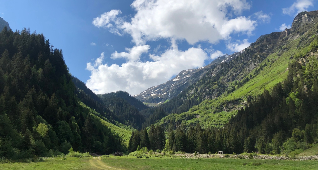 Alp Novai Blick Vereinatal Alp Novai Blick Vereinatal