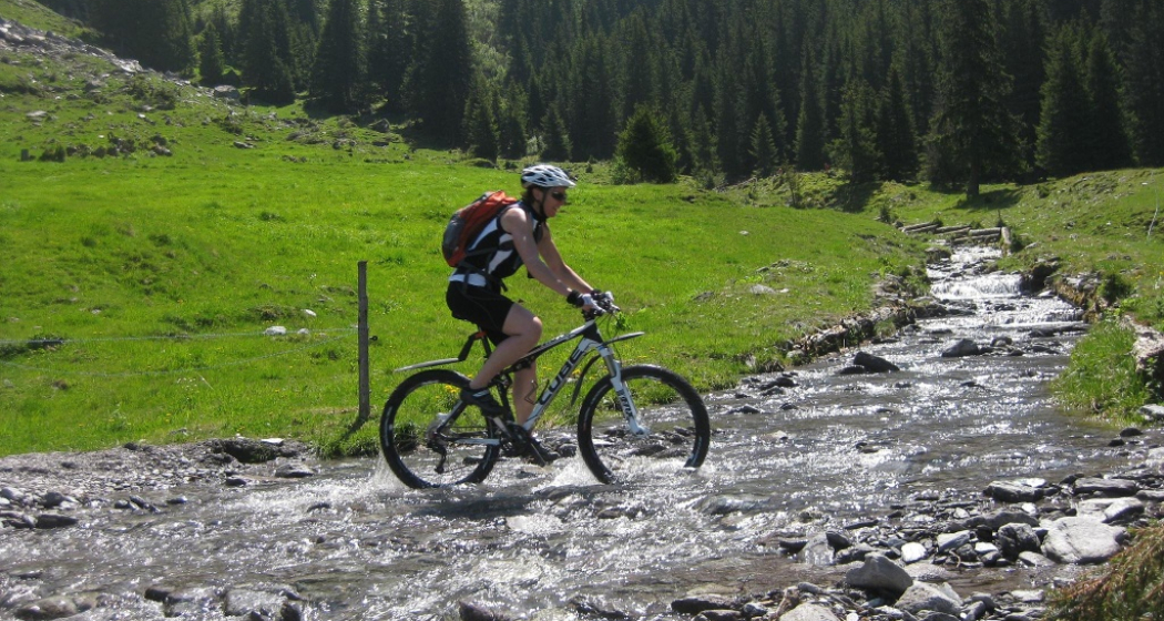 Bachübergang auf der Alp ober Precht Bachübergang auf der Alp ober Precht