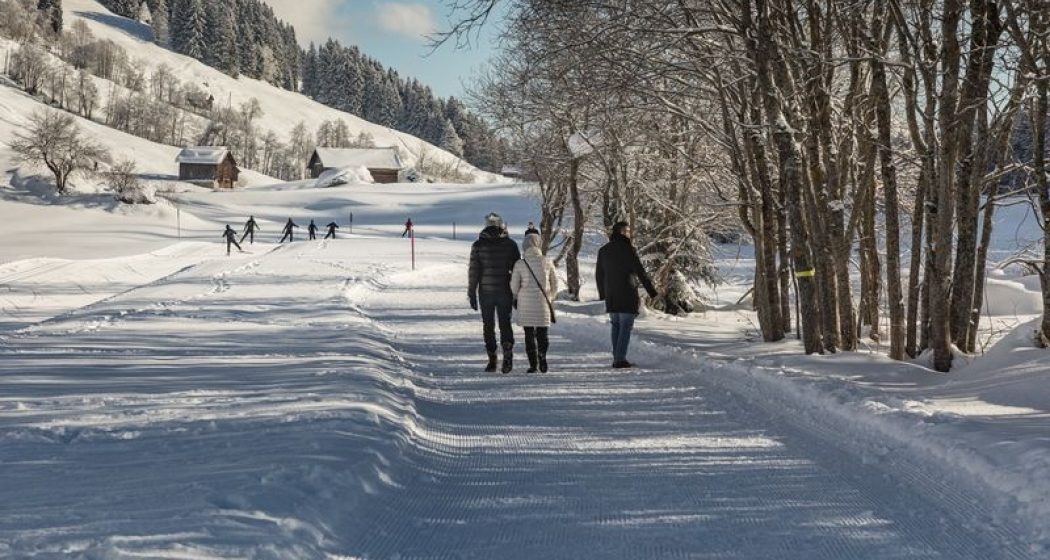 Brigelser See, Brigels (oua_54532587_image)