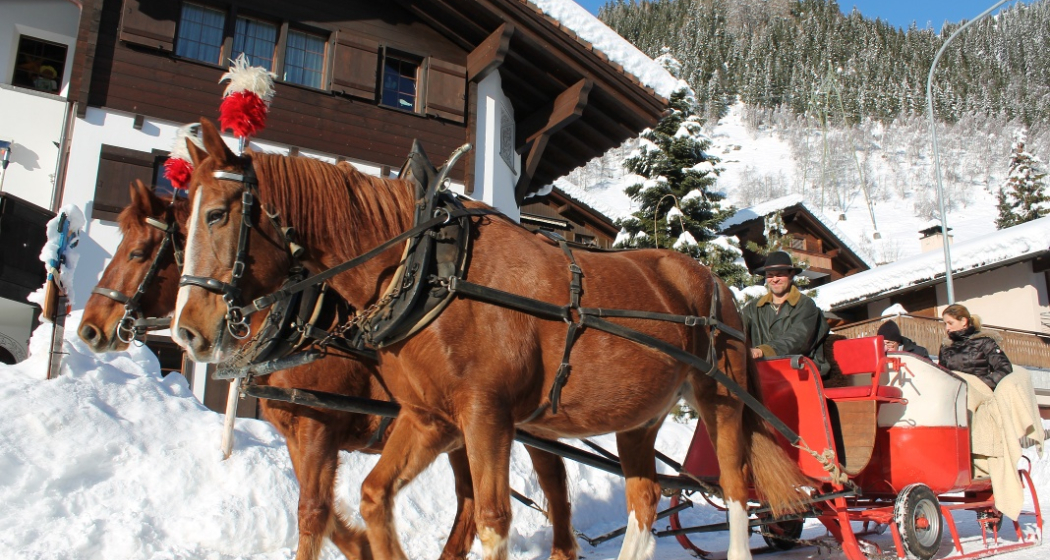 Kutschenfahrt im Winter Kutschenfahrt im Winter