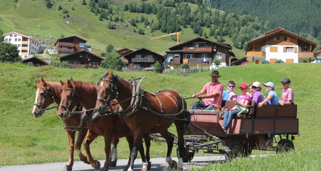 Kutschenfahrt im Sommer