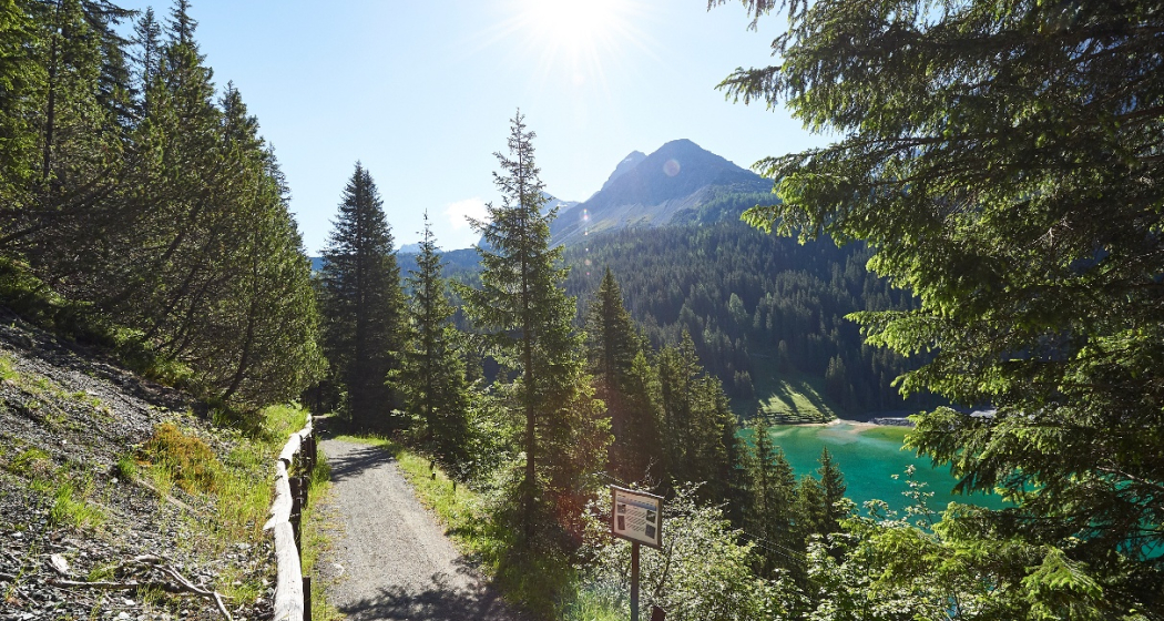 Hochwang - Peisteralp Hochwang - Peisteralp