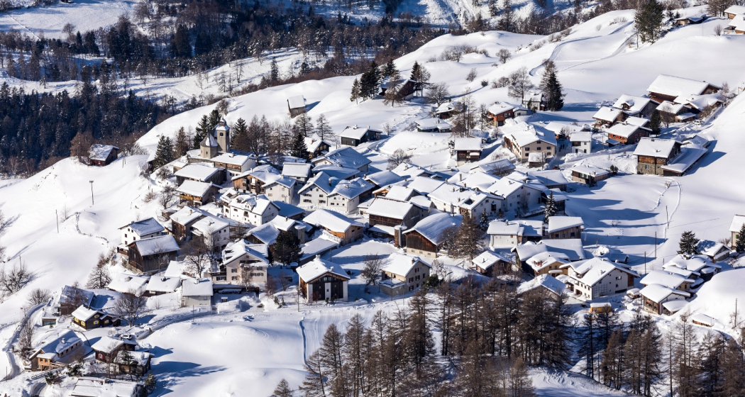 Feldis im Winter Feldis im Winter