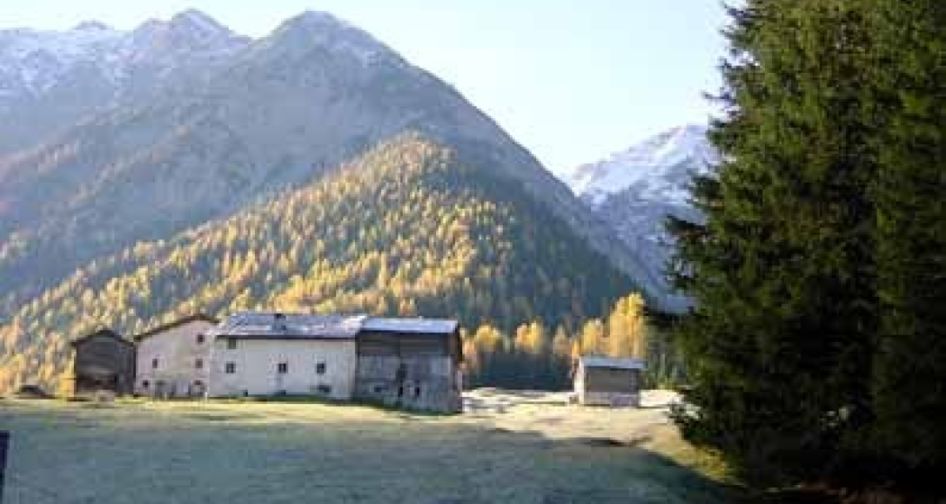 Uina Dadora Uina Dadora