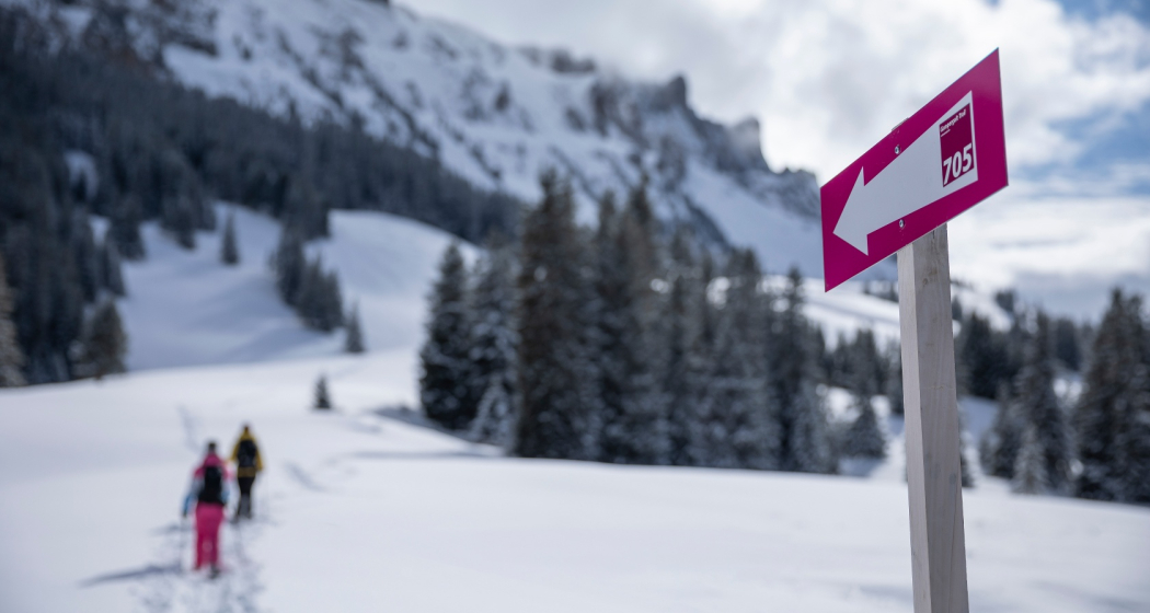 Der signalisierte Schneeschuh-Trail Gampergalt Der signalisierte Schneeschuh-Trail Gampergalt