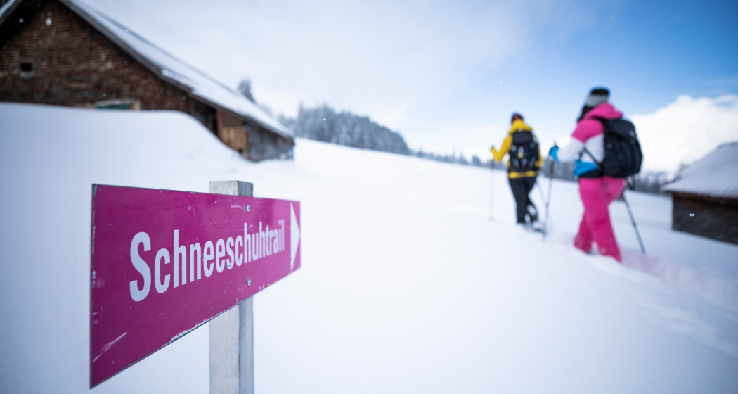 Signalisierter Schneeschuh-Trail Mädems bei Schönhalden Signalisierter Schneeschuh-Trail Mädems bei Schönhalden