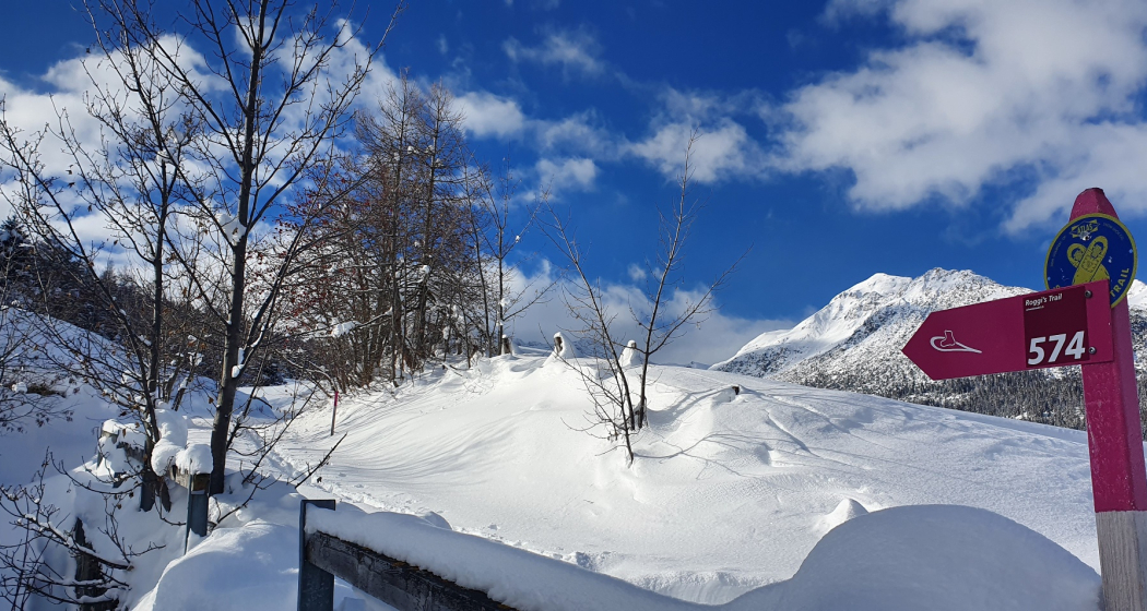 574 Roggi's Trail (oua_55356242_image) 574 Roggi's Trail (oua_55356242_image)