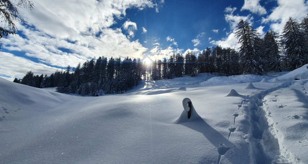 574 Roggi's Trail (oua_55356250_image) 574 Roggi's Trail (oua_55356250_image)